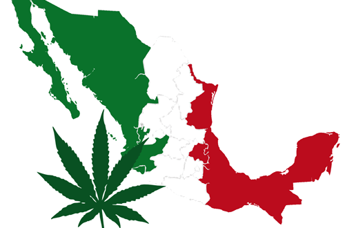 César Gaviria habla sobre la Legalización de Marihuana en México