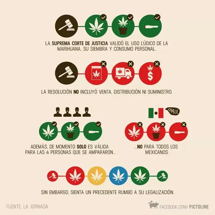 #LegalizacionDeMarihuana Las Redes Sociales Debaten sobre la Legalización de Marihuana en México