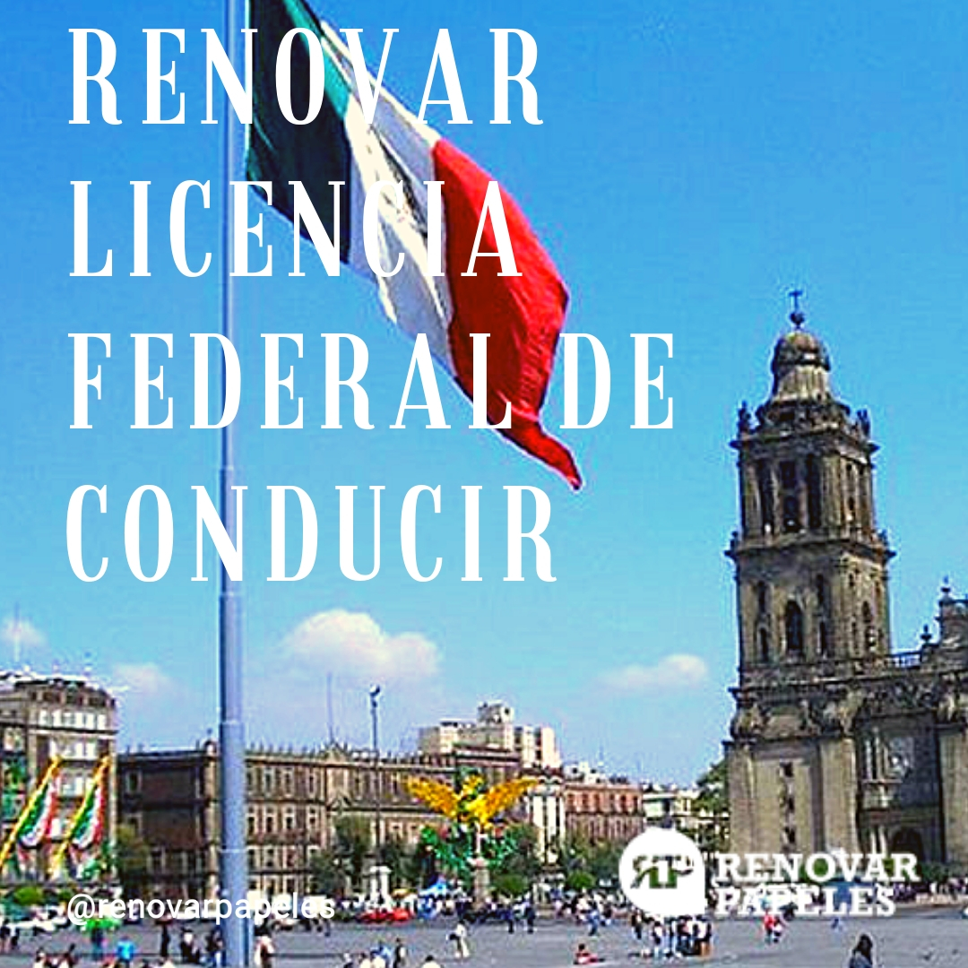 Cómo Renovar la Licencia Federal de Conductor México